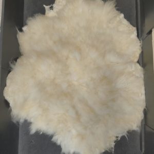 Gevilte vachten Wallissers schwarznase