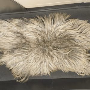 Gevilte vachten Heidschnucke