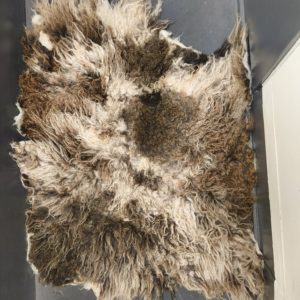 Gevilte vachten Veluwsheide schaap